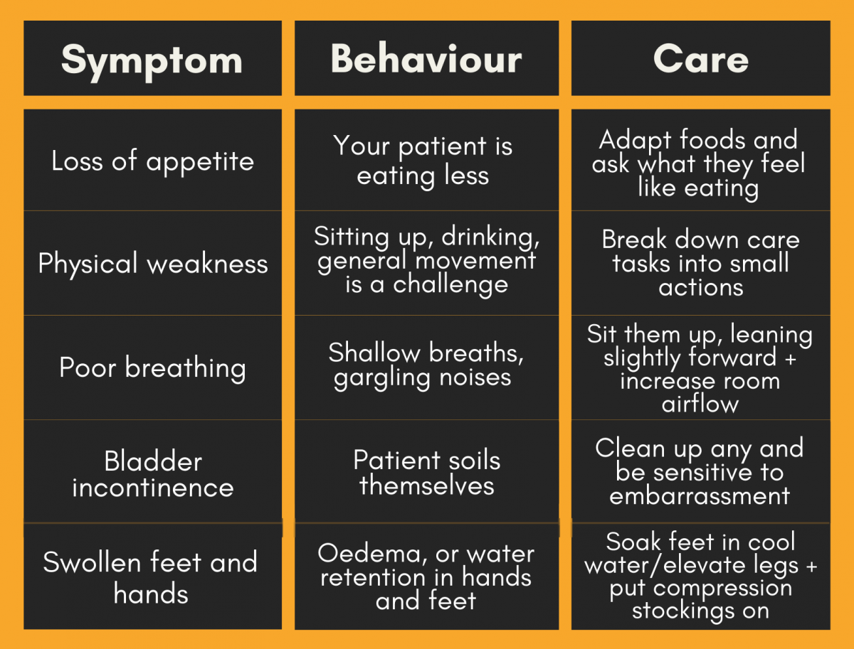 Symptom, behaviour and care table for end of life care