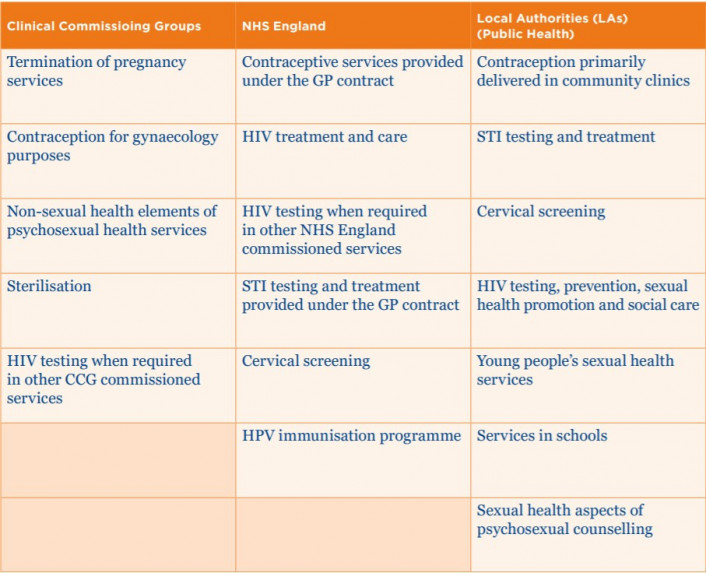 table of information on sexual health