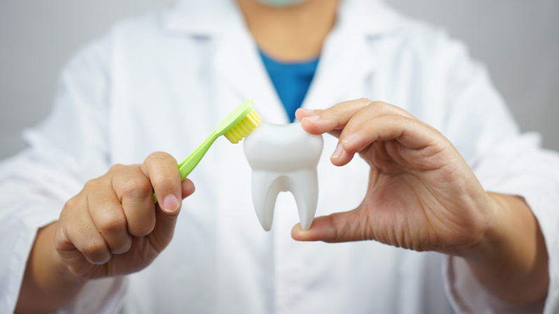 A person wearing a lab coat and mask holds a toothbrush and a model tooth