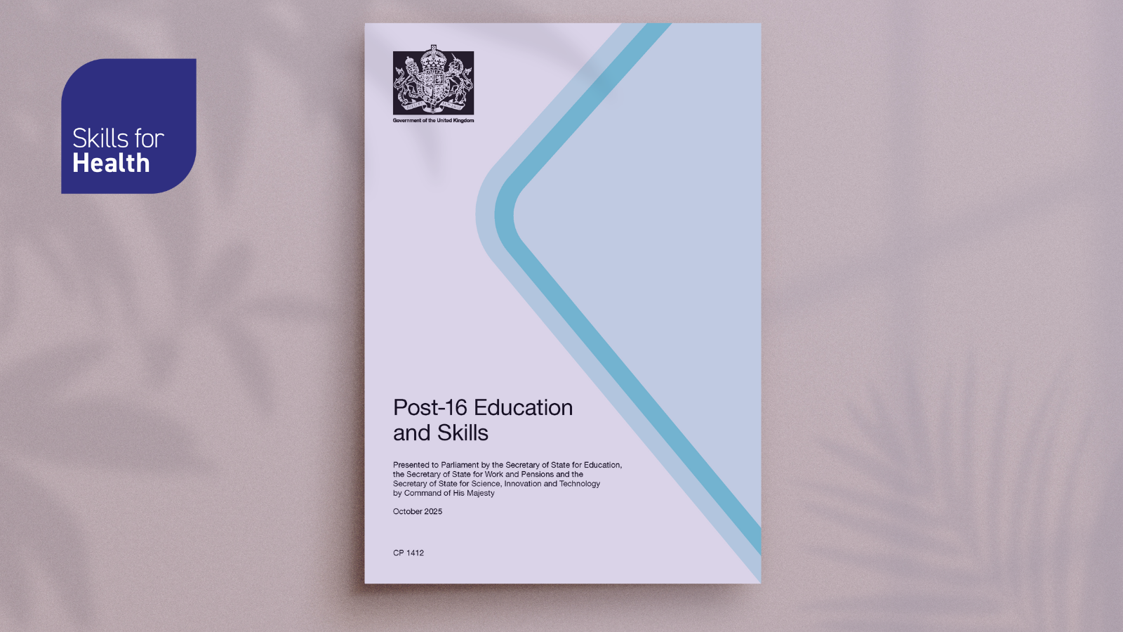 Post 16 education and skills white paper
